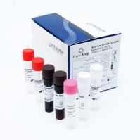 kit de teste de gripe