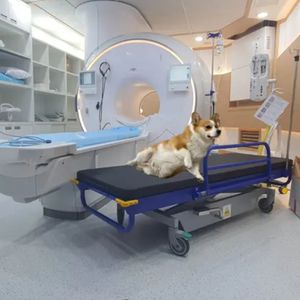 carro-maca para ressonância magnética
