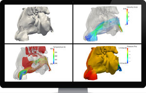 software de anatomia