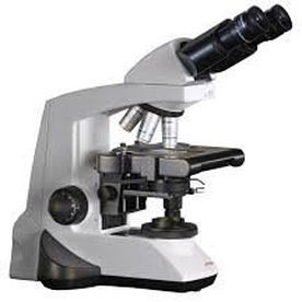 microscópio óptico