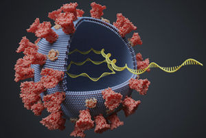 kit de teste para doenças infecciosas