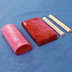 modelo anatômico de cirurgia