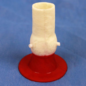 modelo anatômico de válvula aórtica