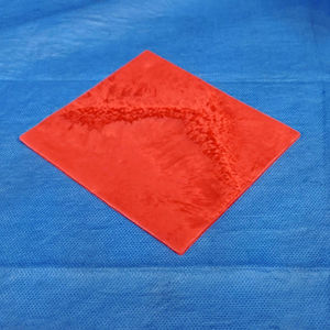 modelo anatômico de intestino