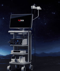 sistema de endoscopia digestiva