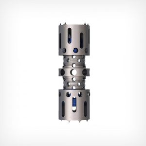 prótese vertebral tóraco-lombar