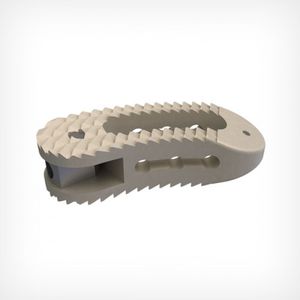 espaçador intervertebral tóraco-lombar