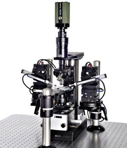 microscópio óptico