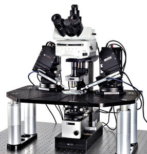 microscópio para pesquisa