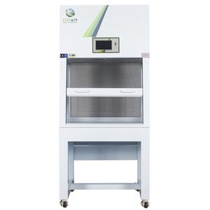 capela química