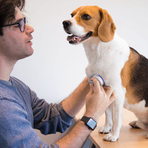 estetoscópio veterinário