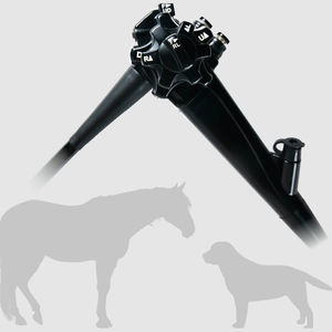 gastroscópio veterinário com sistema de vídeo 1