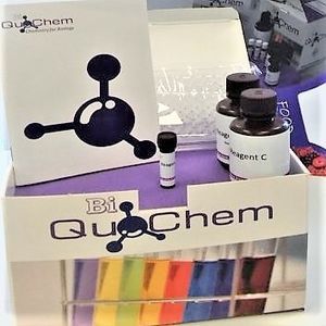 kit de reagentes para quantificação de DNA