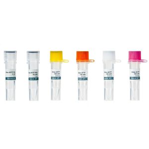 kit de reagentes solução de dNTP 1