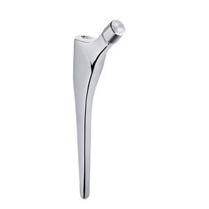 haste femoral cimentada 1