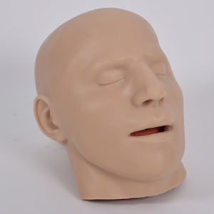 modelo anatômico de pele