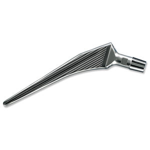 haste femoral cimentada