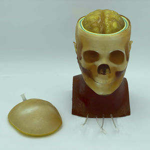 fantoma para radiografia