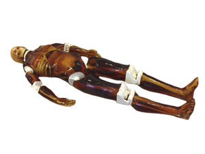 fantoma para radiografia