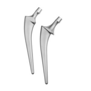 haste femoral cimentada