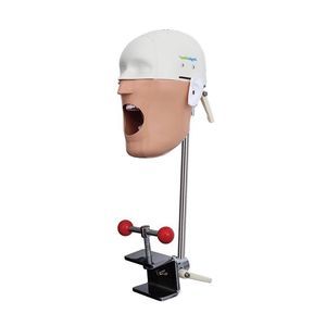 manequim de treinamento para higiene dentária