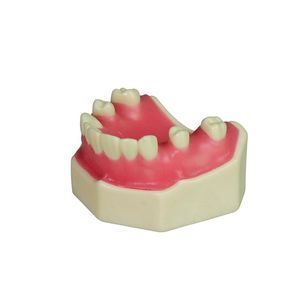 modelo de dente