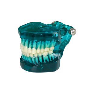 modelo de dente
