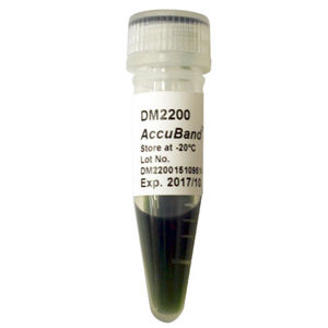 reagente marcador de peso molecular de DNA