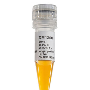reagente marcador de peso molecular de DNA