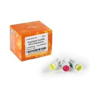 kit de reagentes DNA polimerase