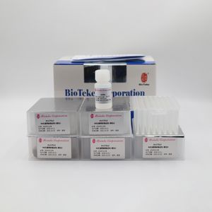 kit de reagentes com enzimas