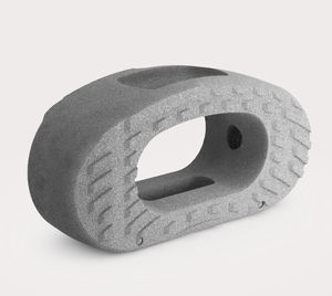 espaçador intervertebral lombar