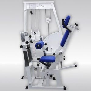 aparelho de musculação extensão das costas