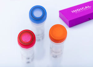 kit de teste veterinário 1