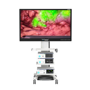 sistema de endoscopia ginecológica