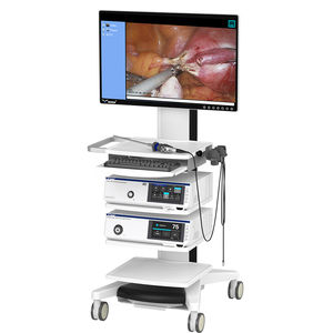 sistema de endoscopia para imagens em 3D