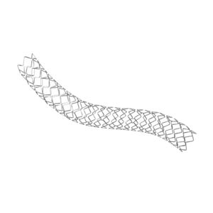 stent coronário 1
