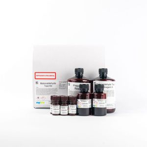 kit de teste para pesquisa 1