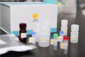 kit de teste ELISA