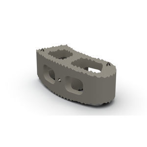 espaçador intervertebral toracolombar
