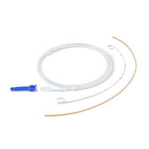 stent ureteral 1