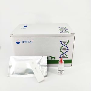 teste rápido para doenças gastrointestinais