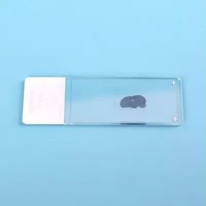 lâmina de microscópio para imunohistoquímica