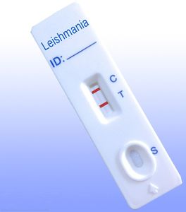 teste rápido de Leishmania