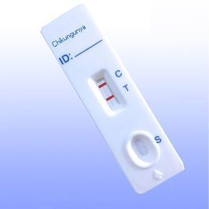 teste rápido da chikungunya