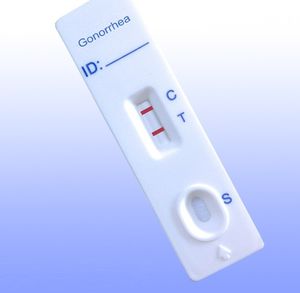teste rápido de Neisseria gonorrhoeae