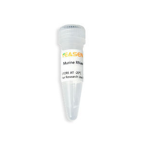 reagente inibidor de RNase