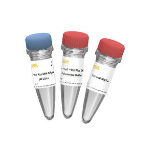 reagente Bst DNA polimerase