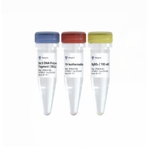 kit de reagentes DNA polimerase