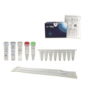 kit de reagentes DNA polimerase